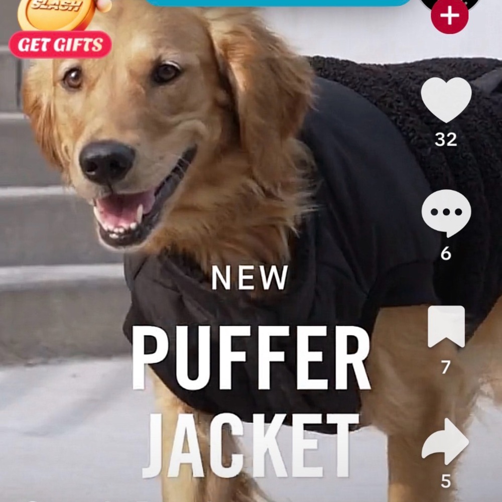 Canada Pooch Cool Factor Puffer Jacket for Dogs. 18”, Large, Black